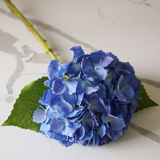 Tiffany Hydrangea | Bulk Buy - Blue