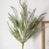 Sea Grass & Lavender Bush