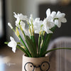 Real Touch Daffodil Bundle | White