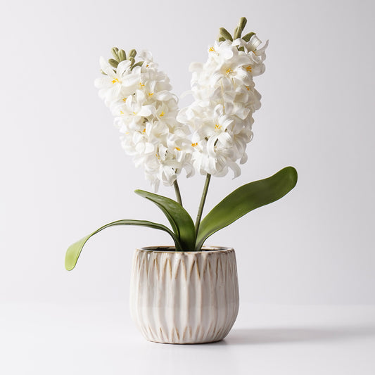 Potted Real Touch White Hyacinth