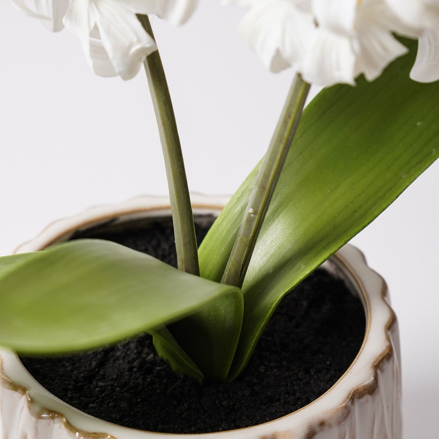 Potted Real Touch White Hyacinth