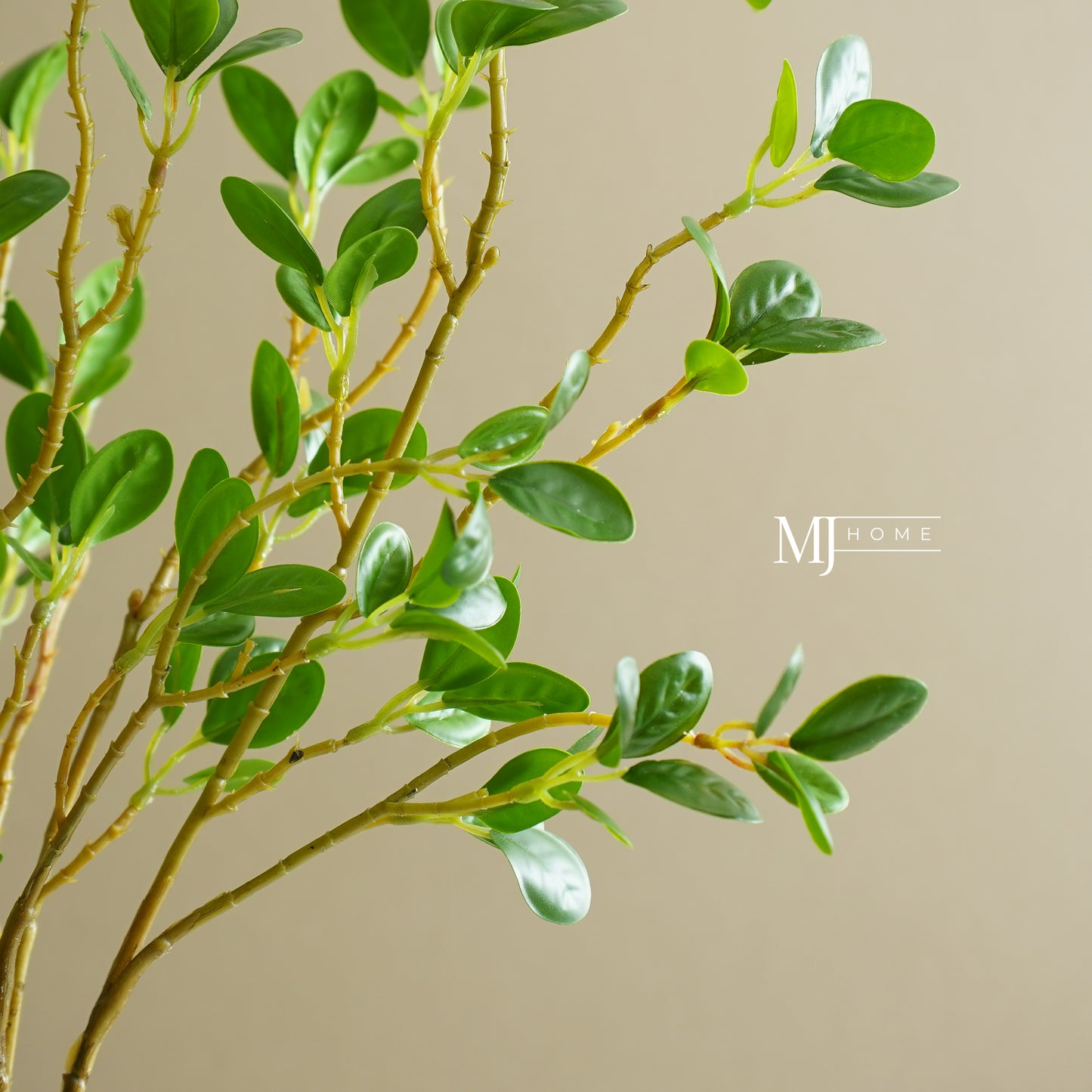 Filomena Green Leaf Stem | Small