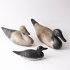 Antique Duck Decoy