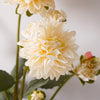 Dried Faux Dahlia Bunch | Cream