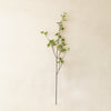 Mini Green Leaf Stem