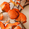 Burnt Orange Eucalyptus Candle Ring | 15”