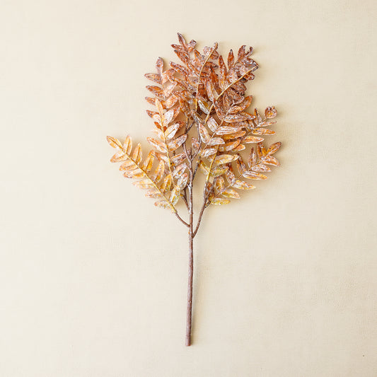 Brown Leaf Stem