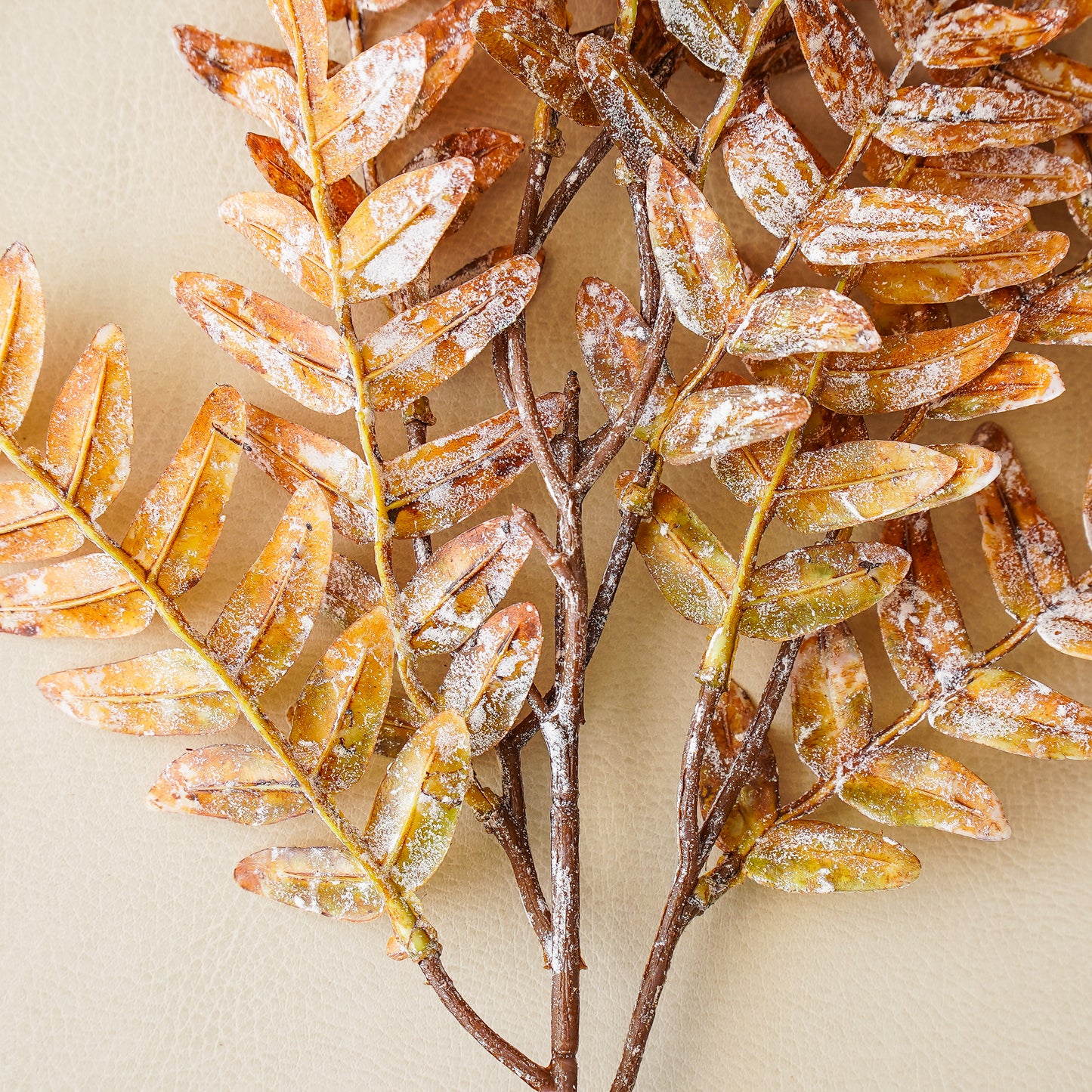 Brown Leaf Stem