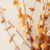 Leafy Berry Bush | Mustard