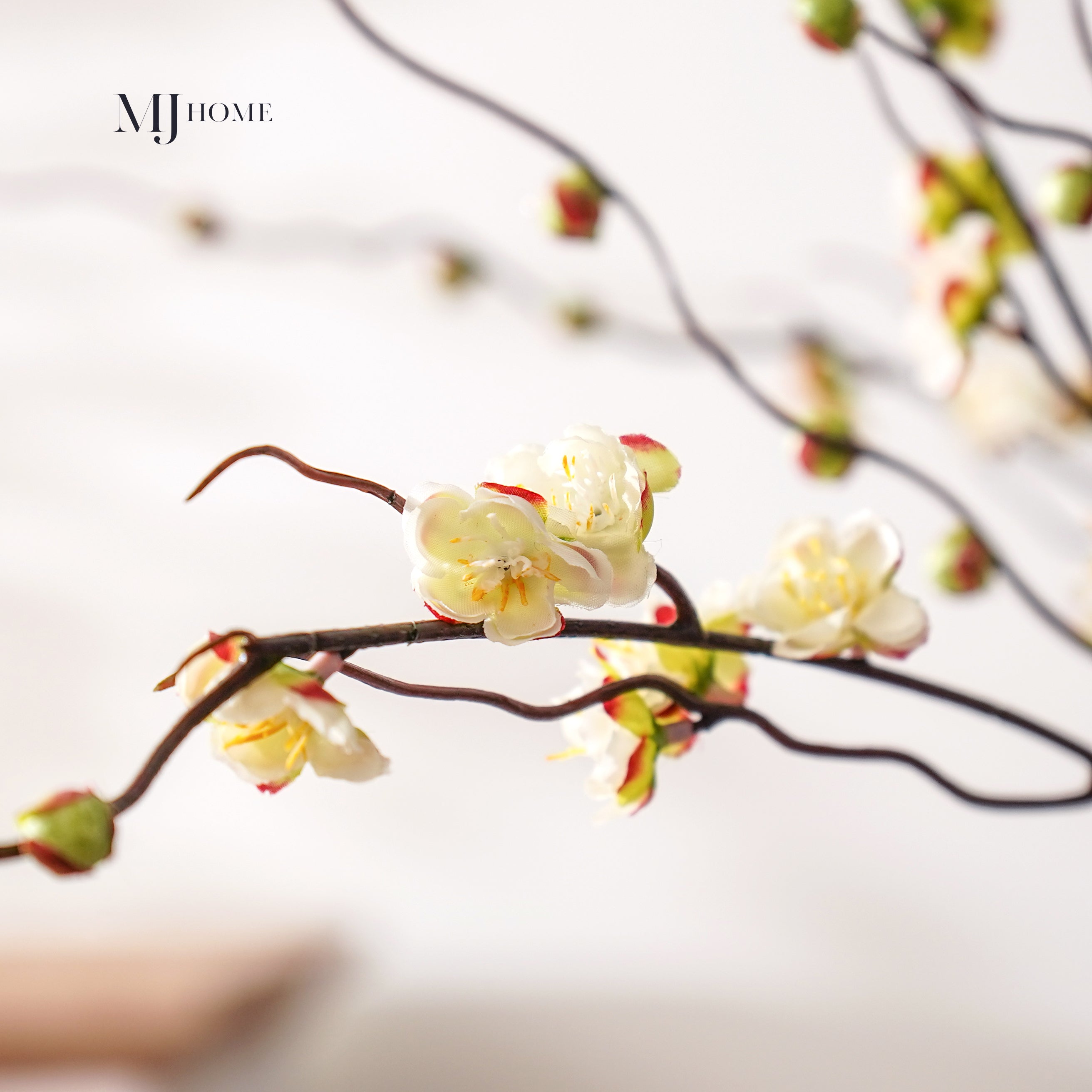 Budding Blossom Branch