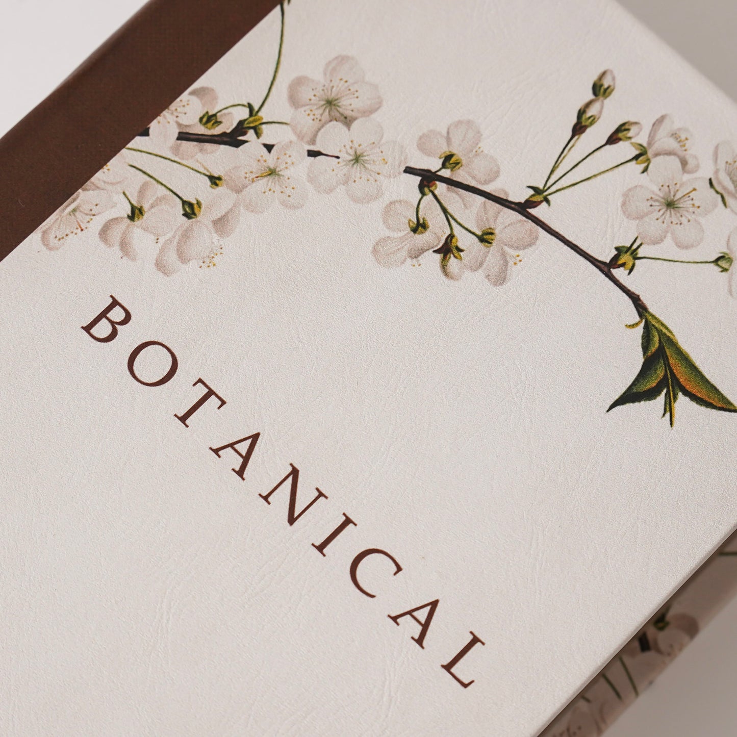 Botanical Storage Books | Set of 2