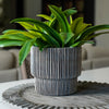 Black & Beige Ribbed Planter