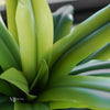 Ambrosia Real Touch Tall Agave Stem