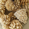 Bag of Dried Pinecones