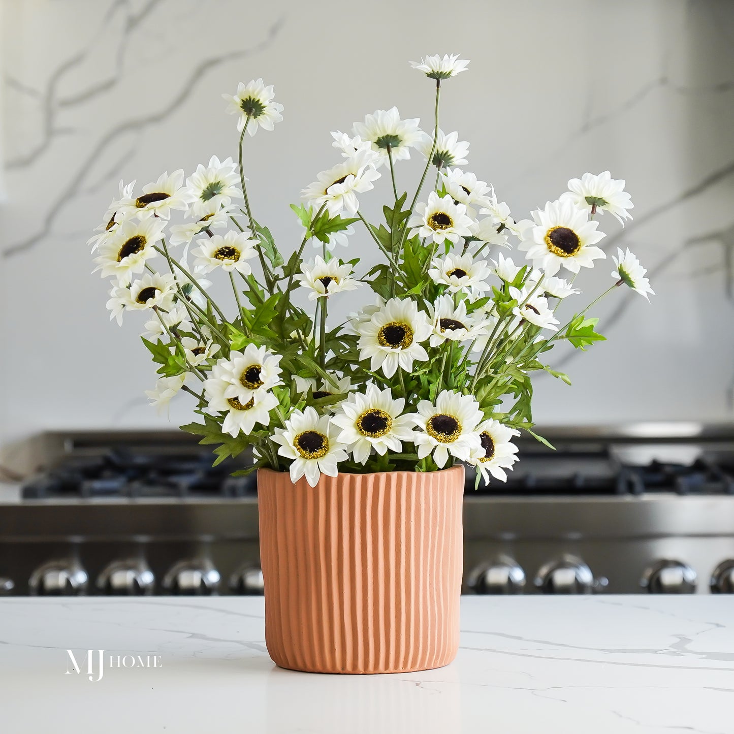 Black-Eyed Susan Bush