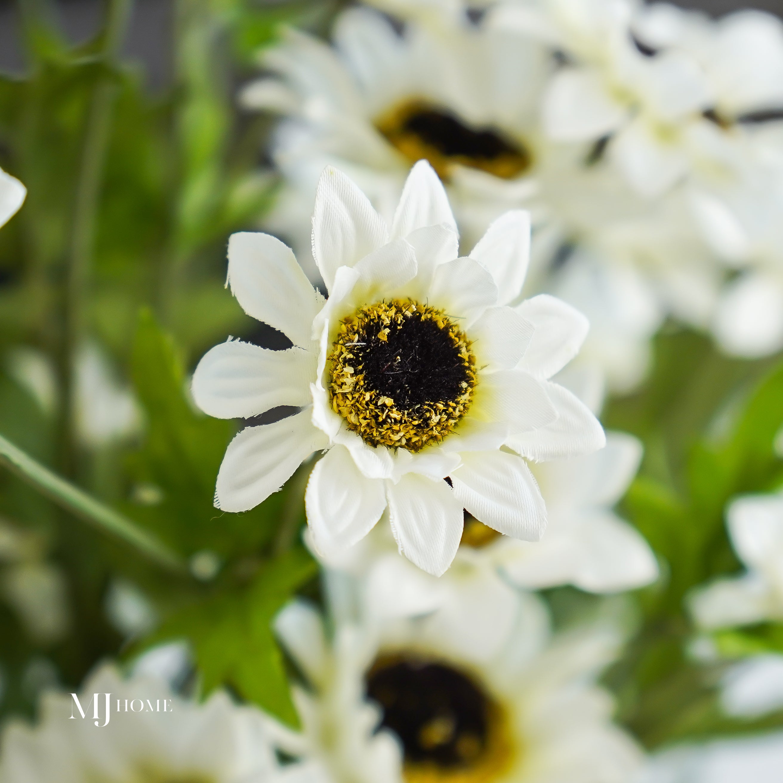 Black Eyed Susan, Lampwork Hand Blown Glass Flowers, Spring Daisies Sun Flower, Flowers Long deals Stemmed, Boro SRA