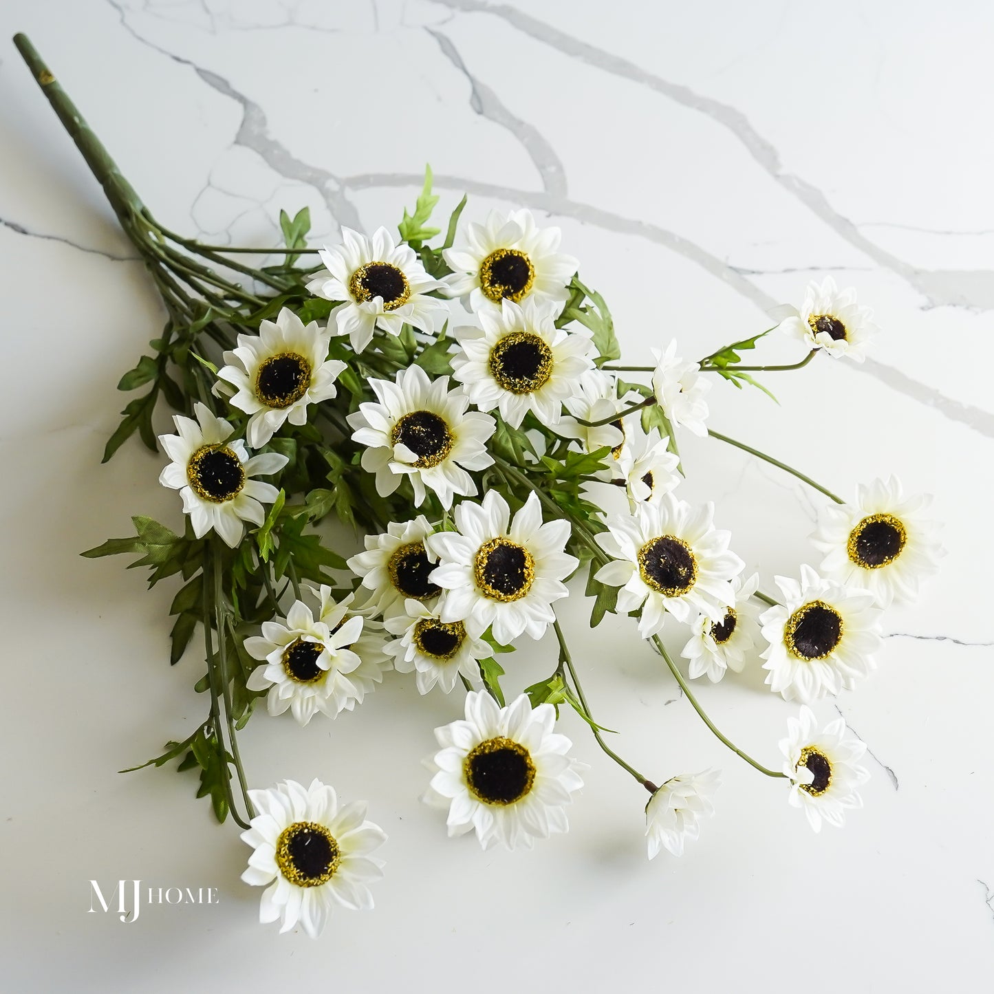 Black-Eyed Susan Bush