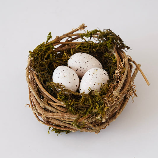 Mossy Twig Nest