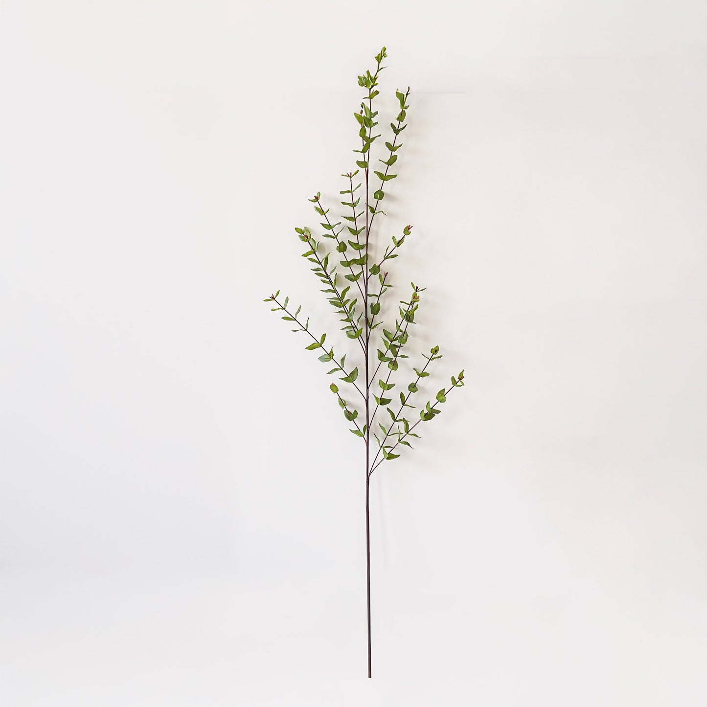 Natural Touch Heart Eucalyptus Branch | 56"