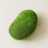Moss Rocks | Box of 12