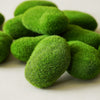 Moss Rocks | Box of 12