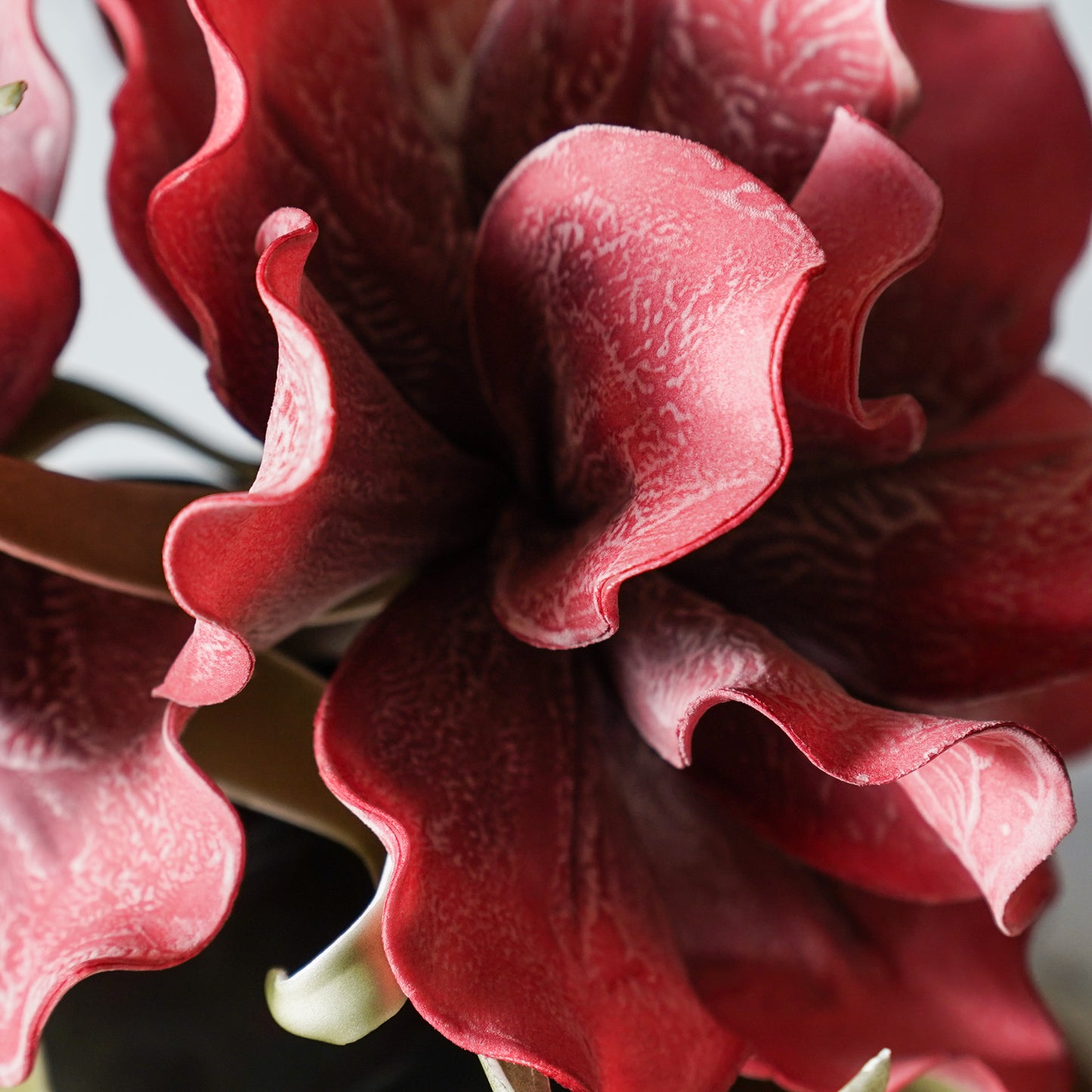 Foam Timeless Blooms | Red