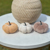 Velvet Pumpkin | Harvest, Snow, or Mocha