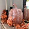 Whitewashed Terracotta Pumpkin