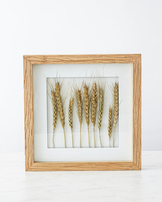 Wood Framed Dried Wheat Wall Decor