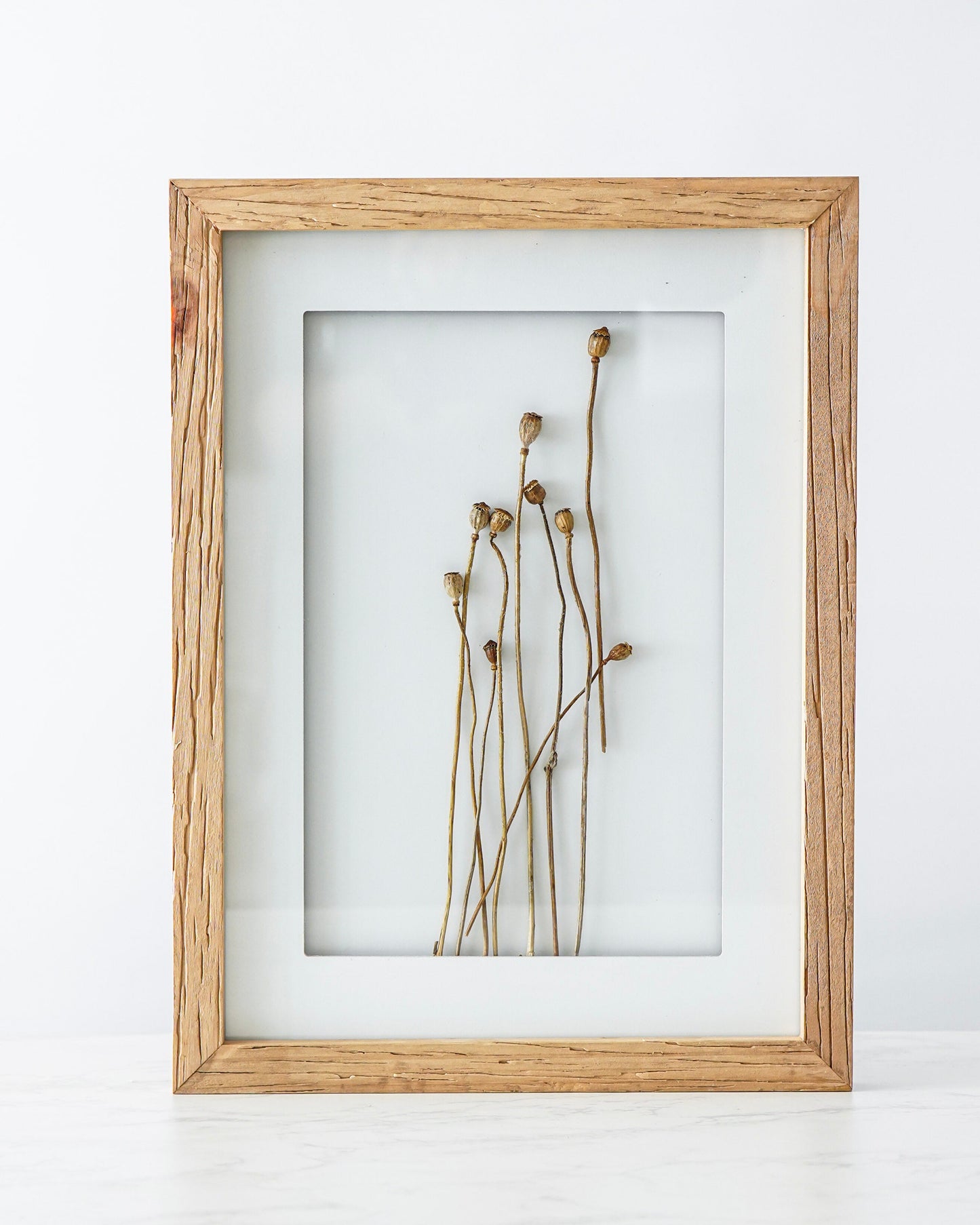 Wood Framed Dried Billy Buttons Wall Decor