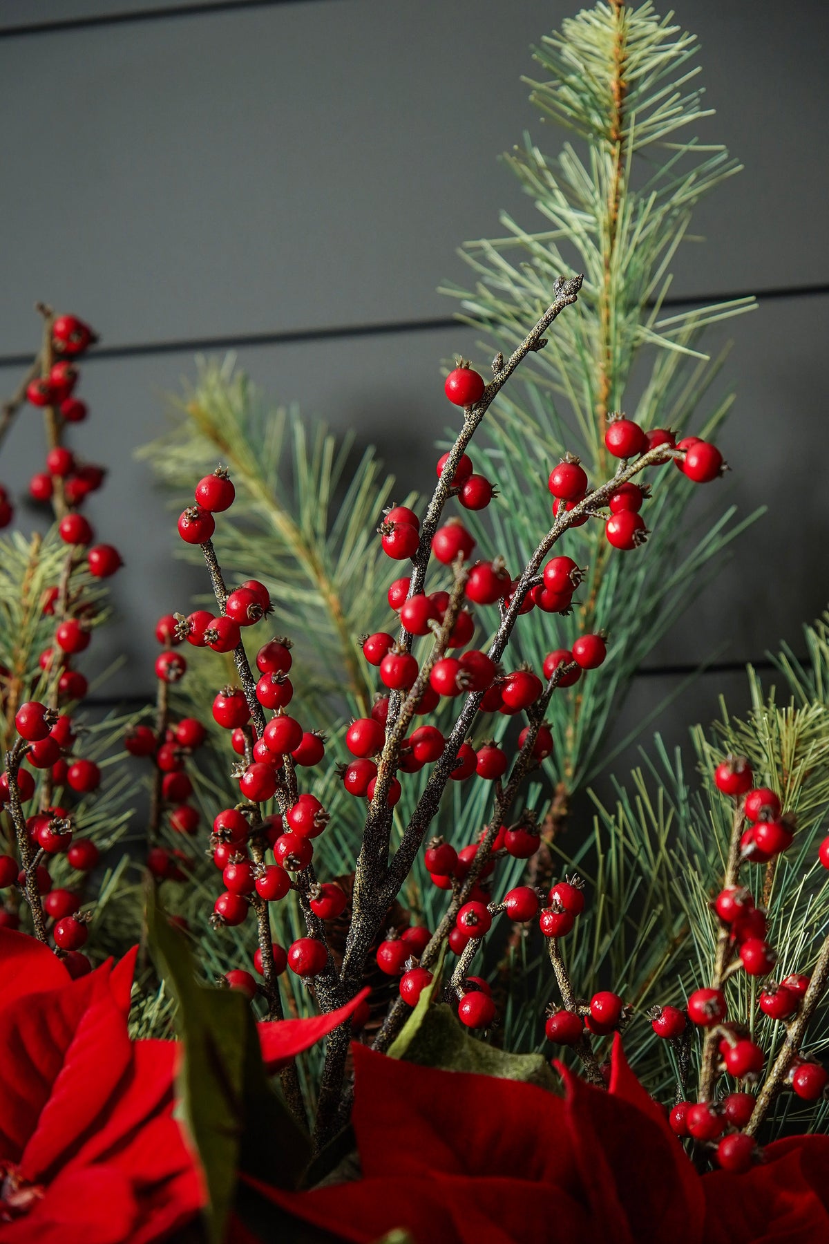 Winterberry Branch Stem