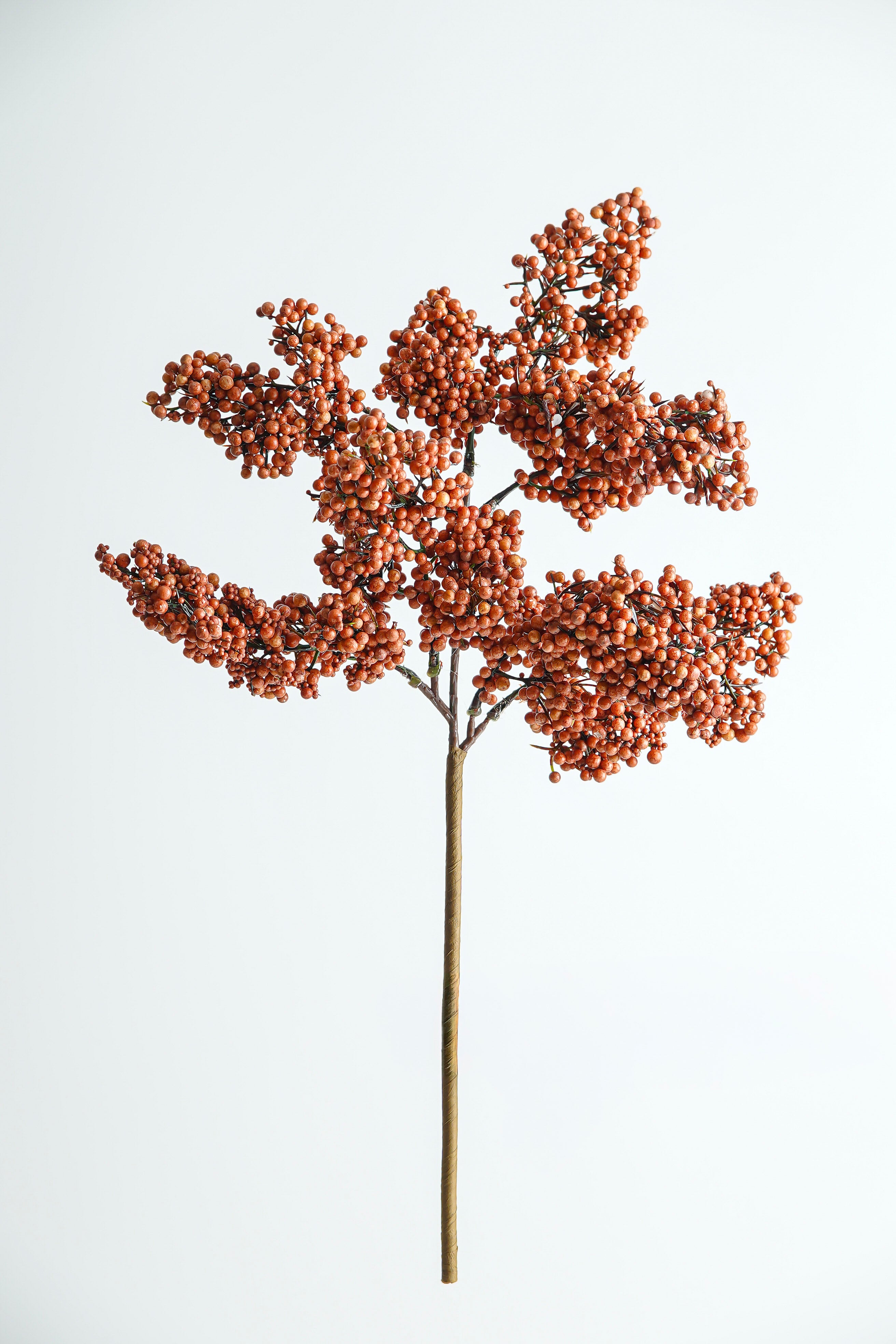Terracotta Berry Stem