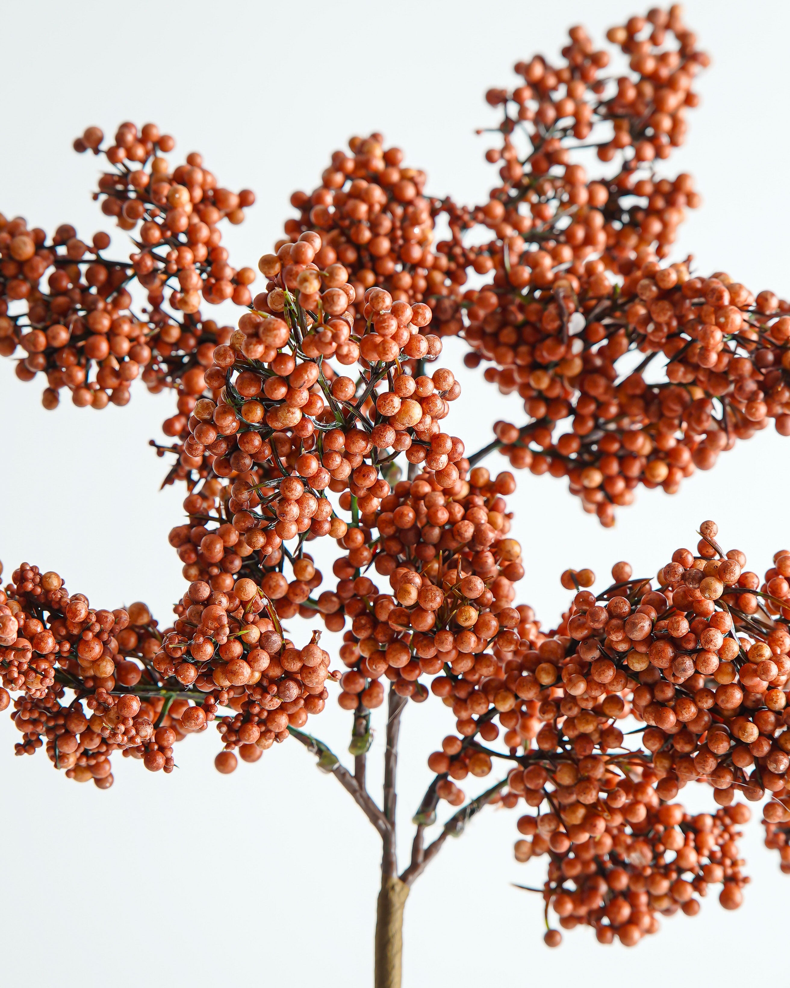 Terracotta Berry Stem