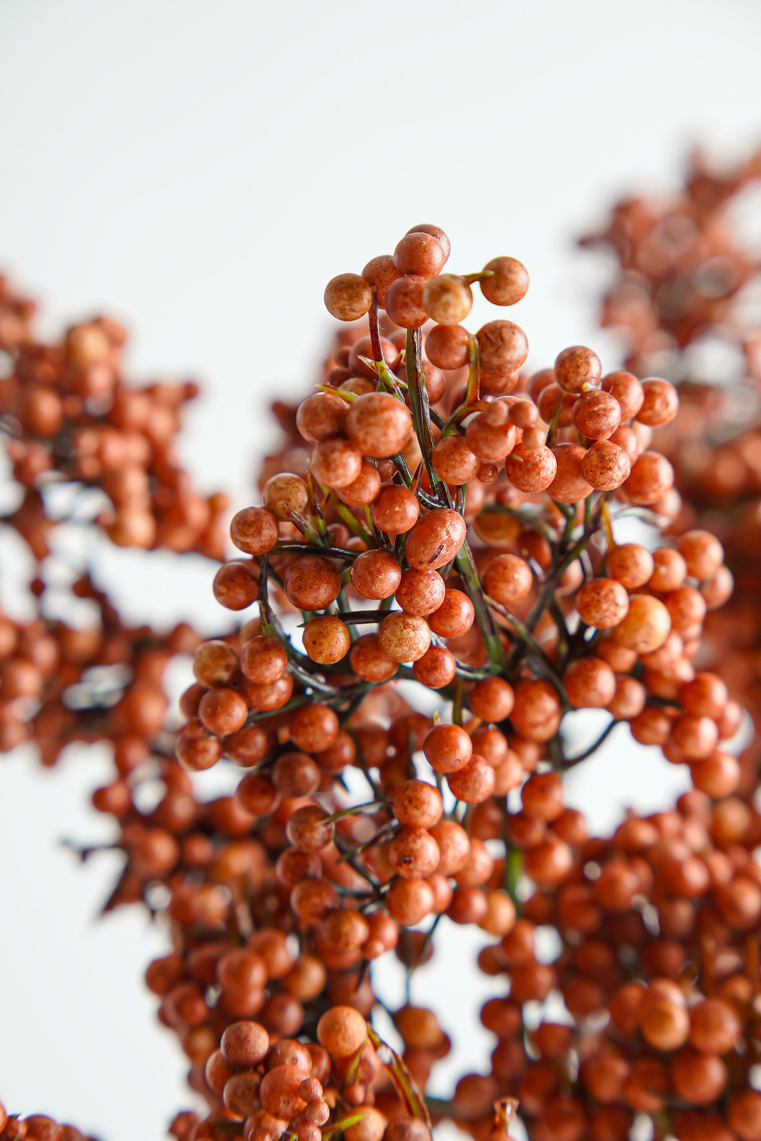 Terracotta Berry Stem