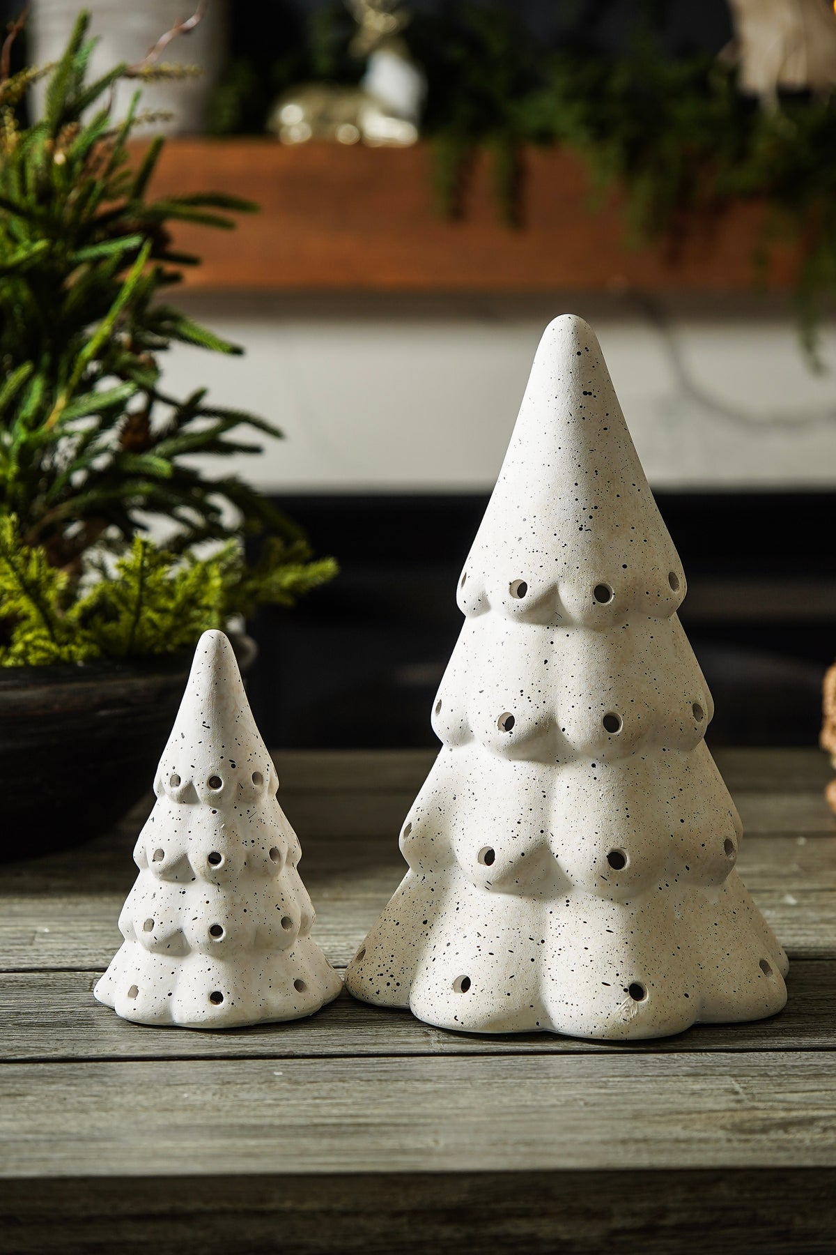 Everly Ceramic Luminary Trees