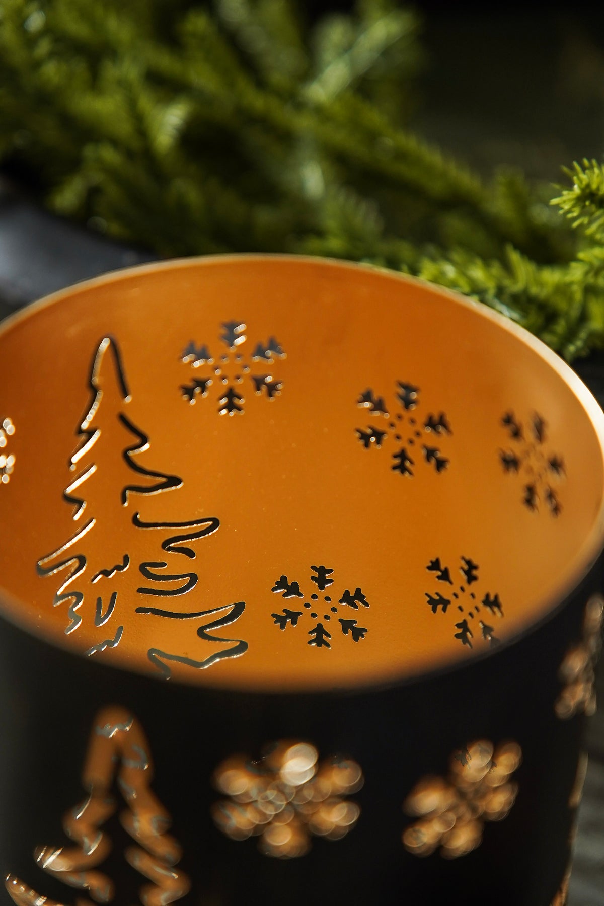 Evergreen Glow Styled Look