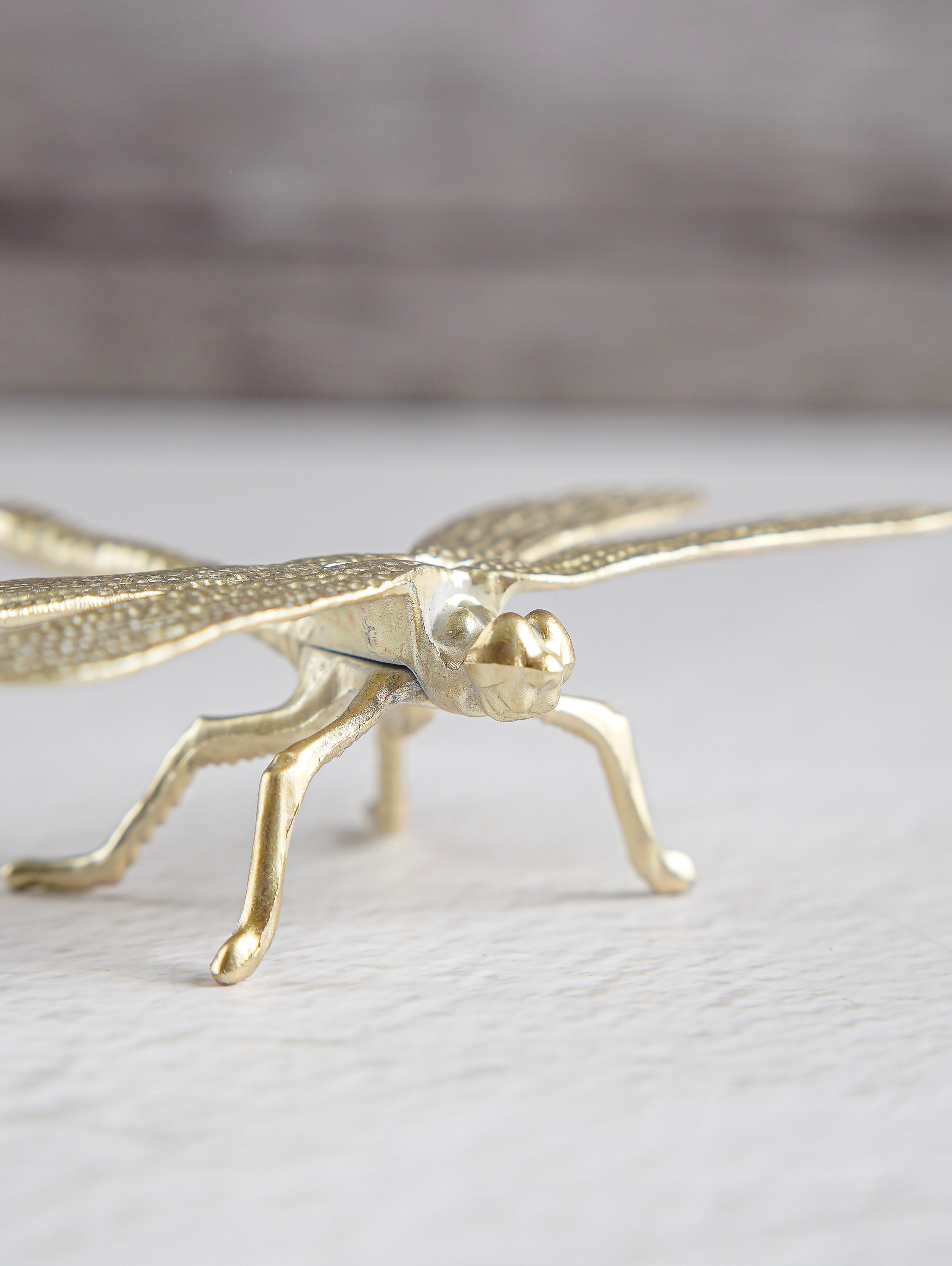 Champagne Dragonfly