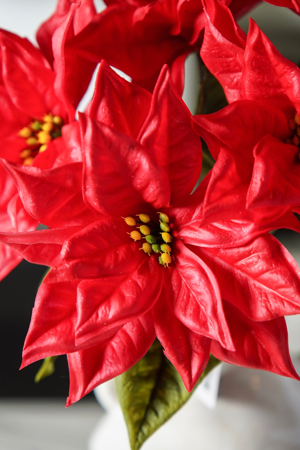 Poinsettia & Gold Styled Look