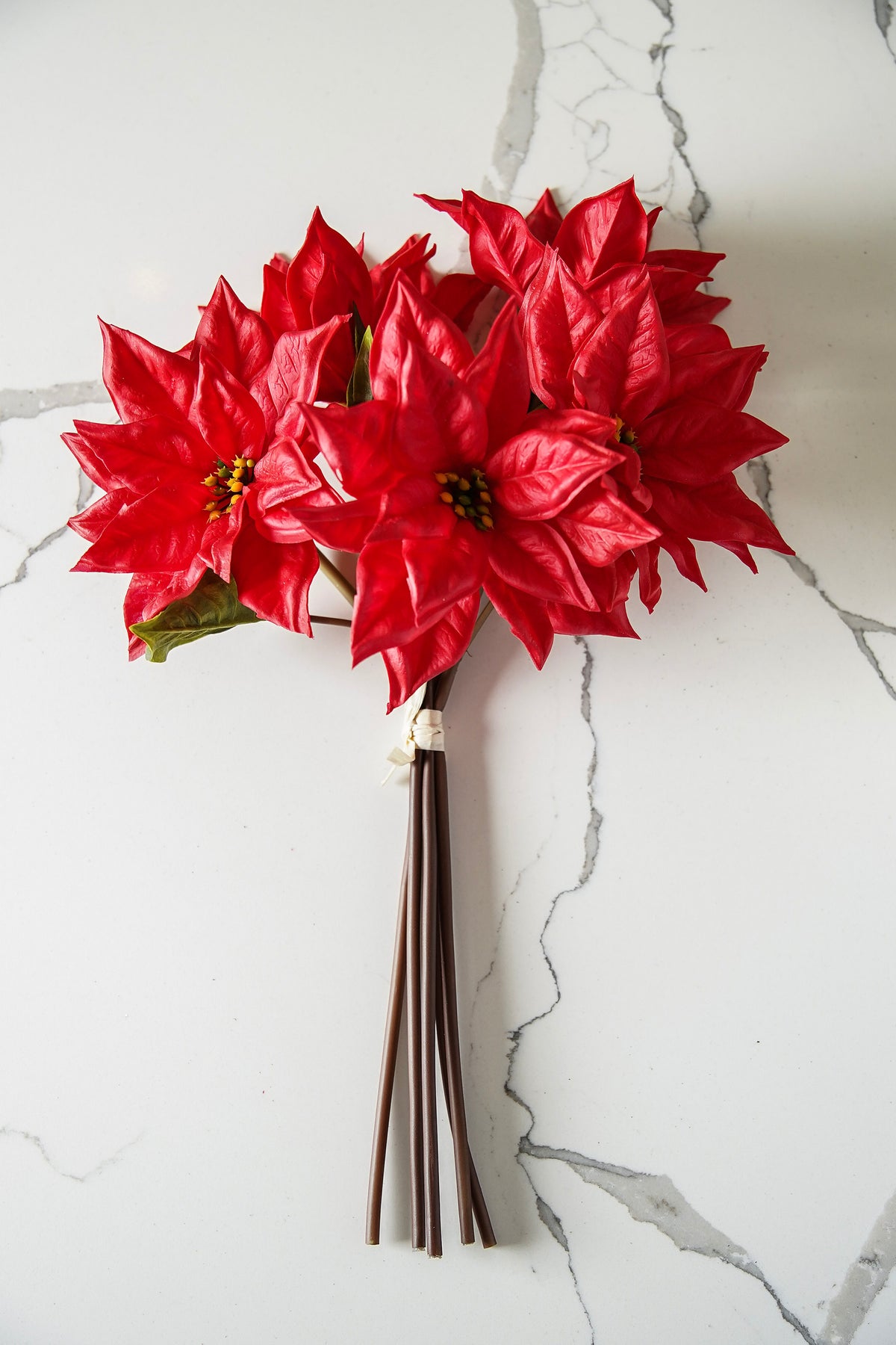 Poinsettia & Gold Styled Look