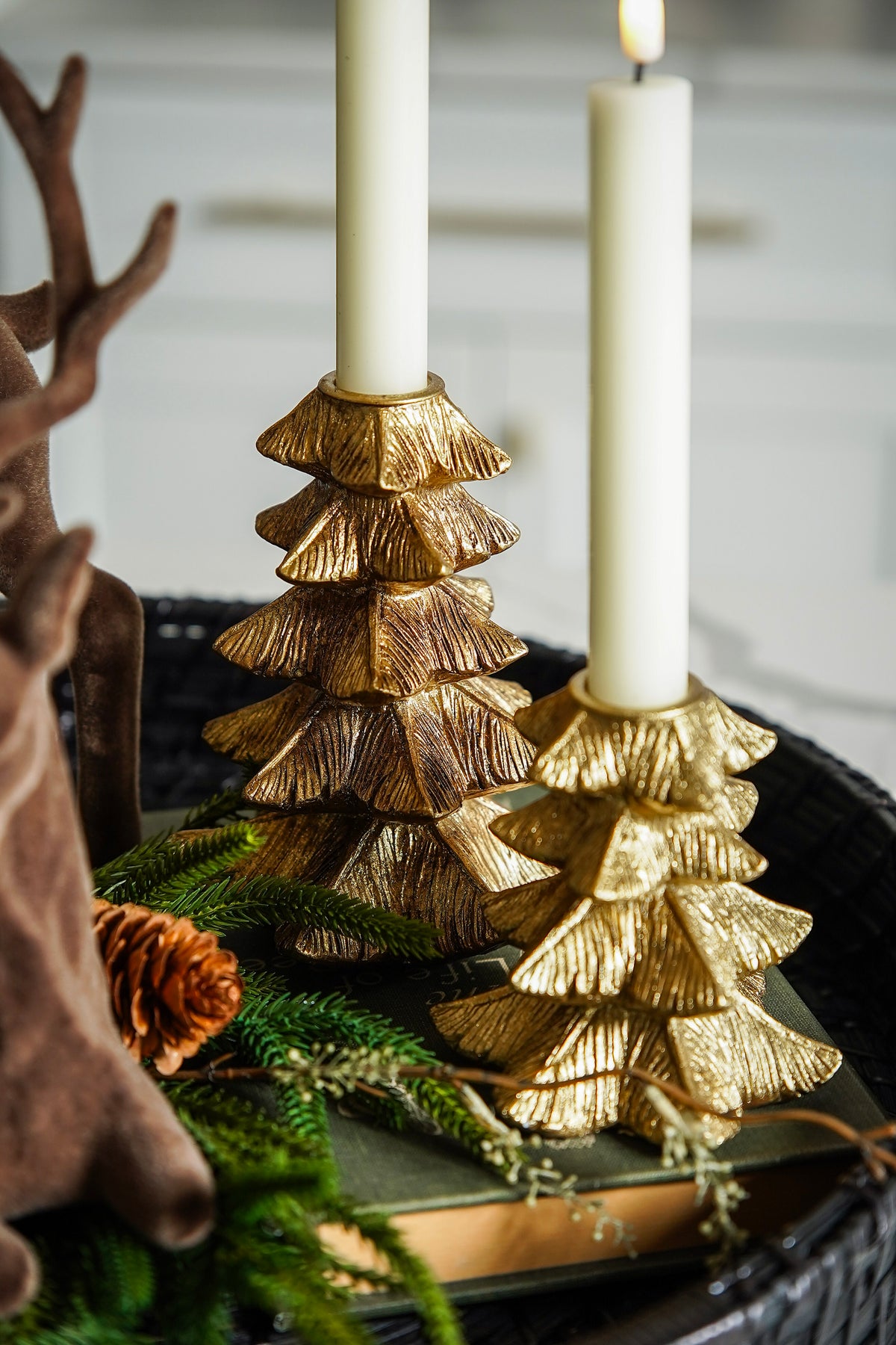 Woodland Lodge Styled Look