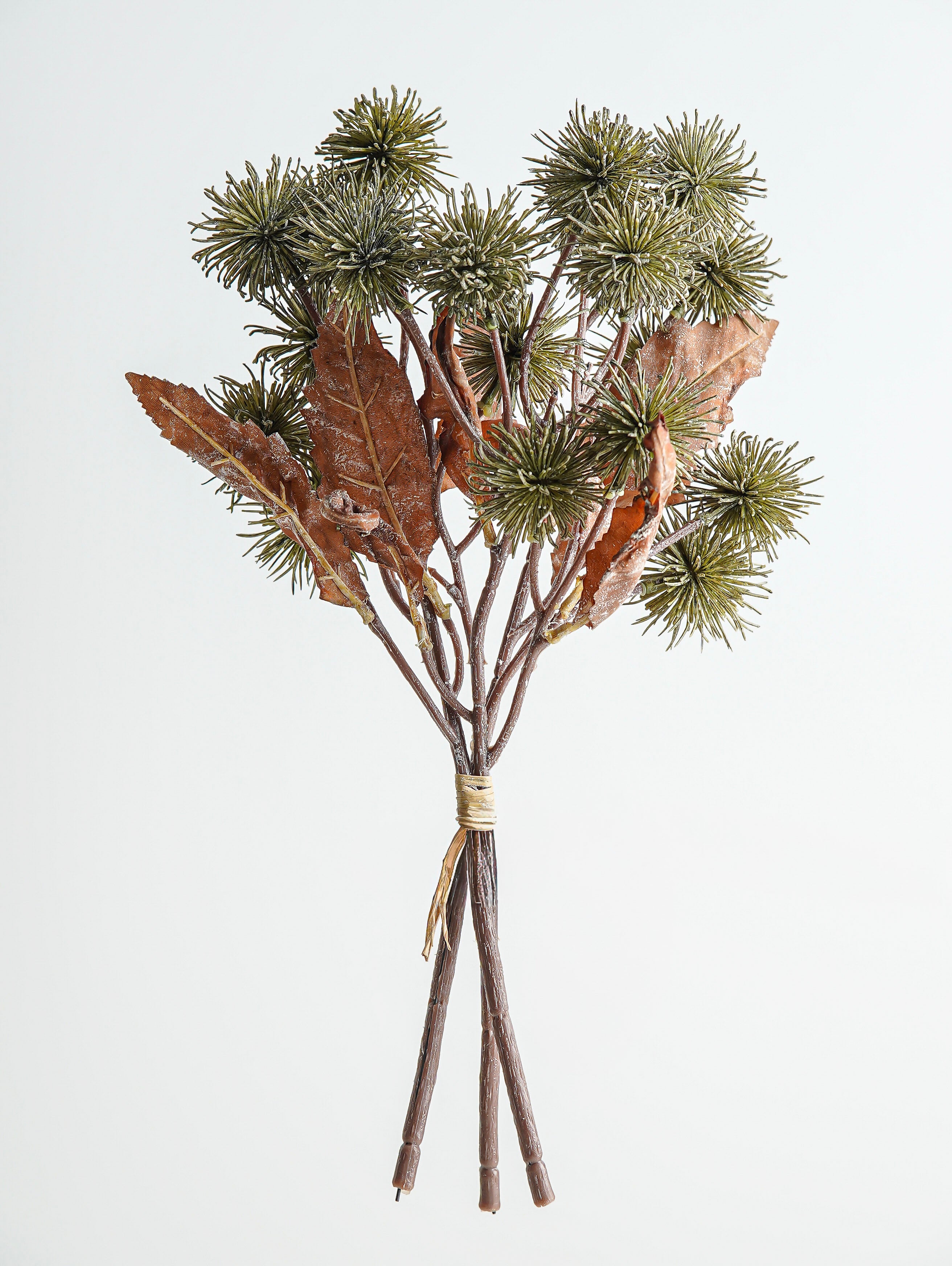 Harvest Sycamore Bunch