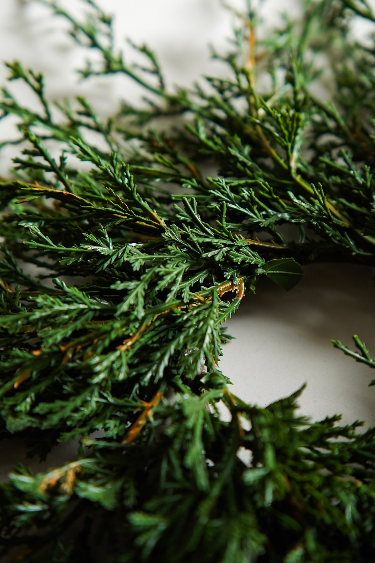 Draping Evergreen Candle Ring