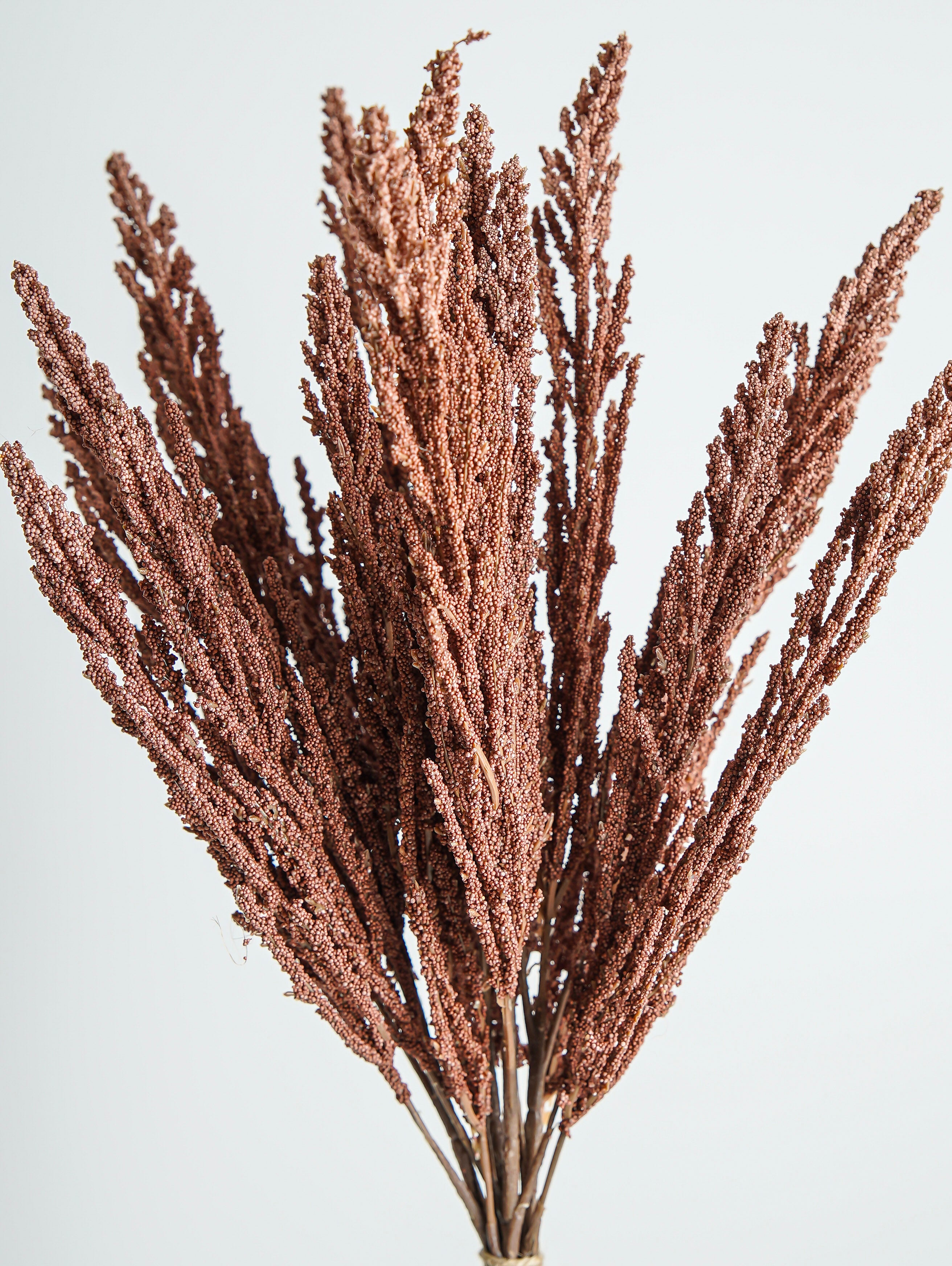 Mini Berries Bunch | Terracotta