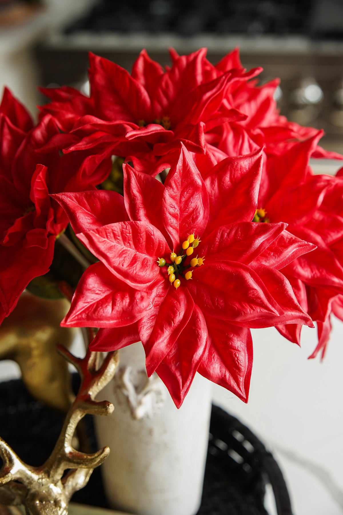 Poinsettia & Gold Styled Look