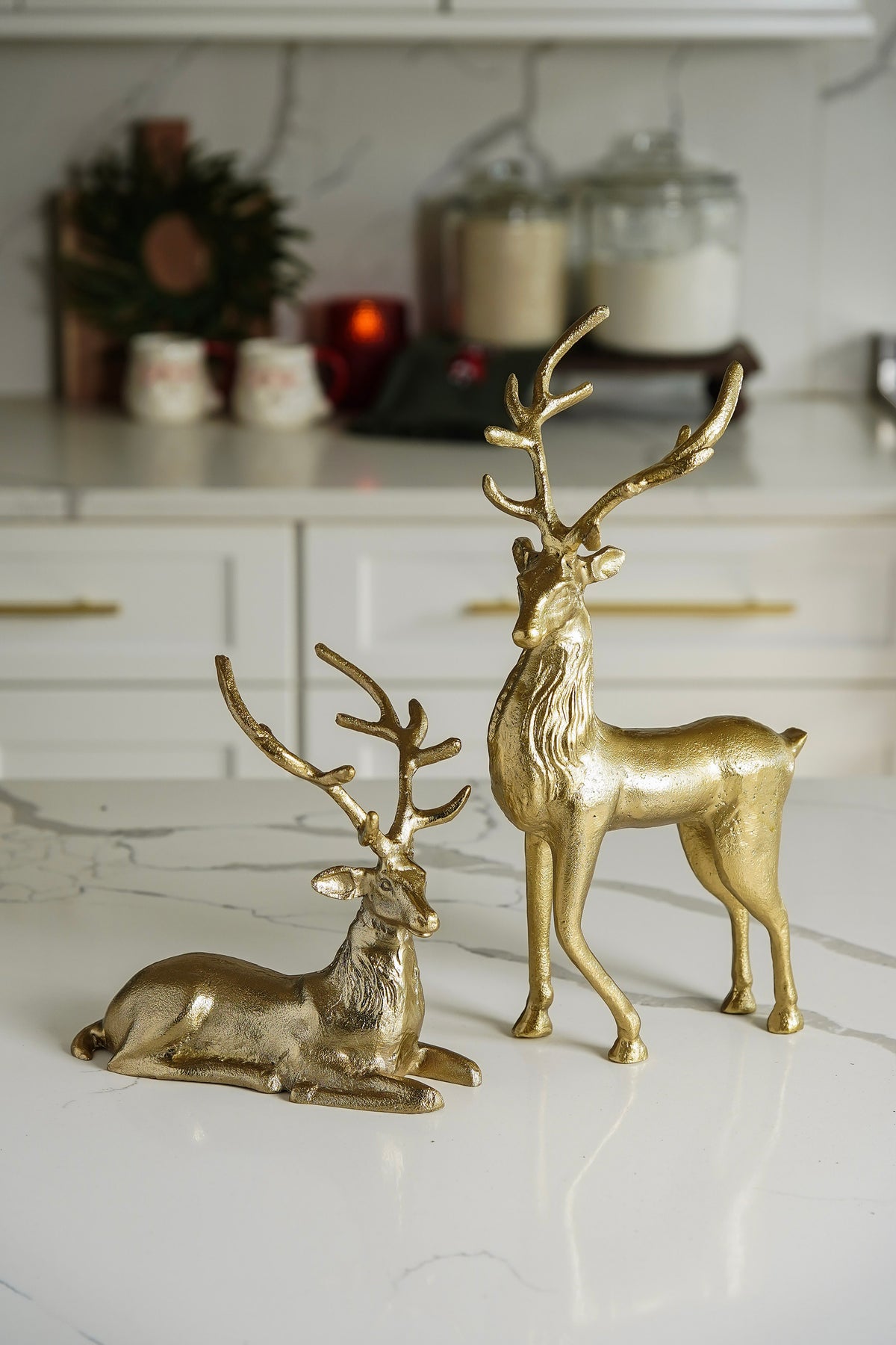 Poinsettia & Gold Styled Look