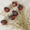 Harvest Pod Bundle | Plum