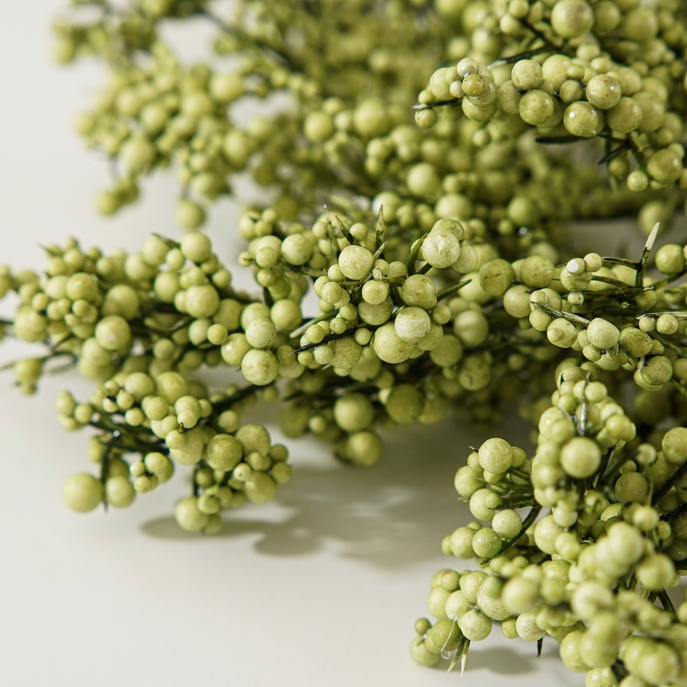 Green Mini Berries Stem