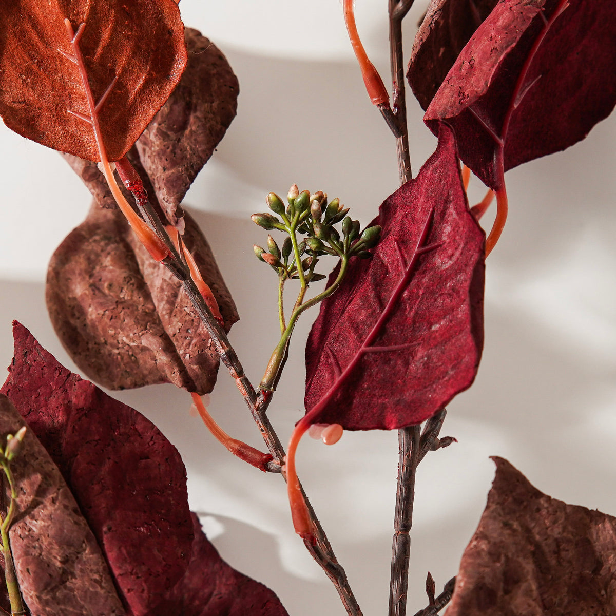 Burgundy Silver Dollar Eucalyptus Stem