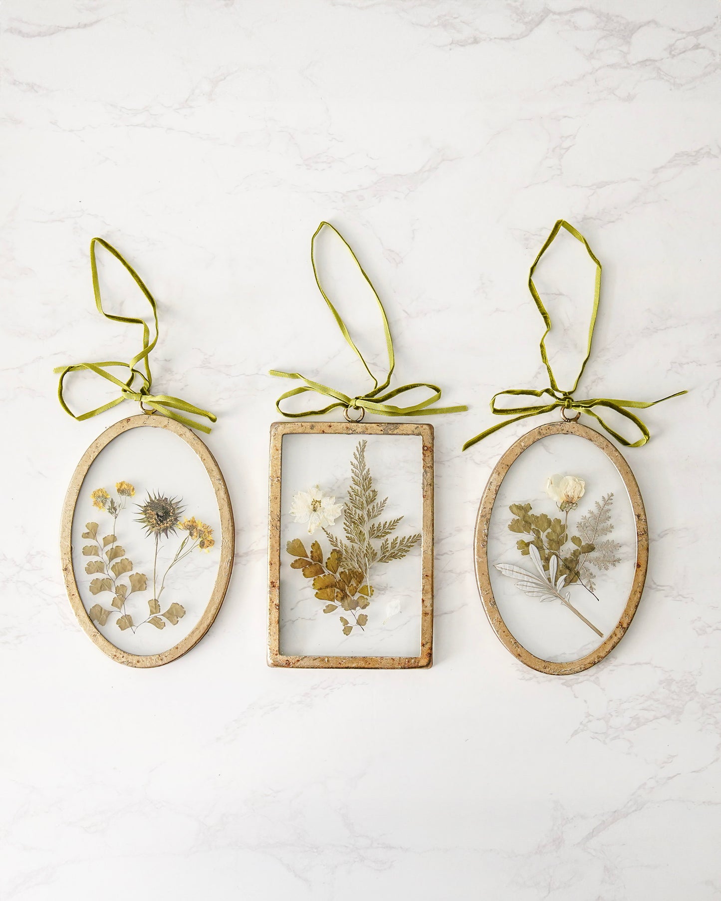 Pressed Botanical Glass Frame Set