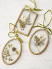 Pressed Botanical Glass Frame Set